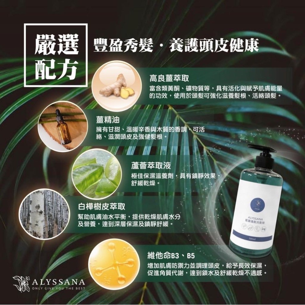 藍薑蓬鬆洗髮精500ml-細節圖5