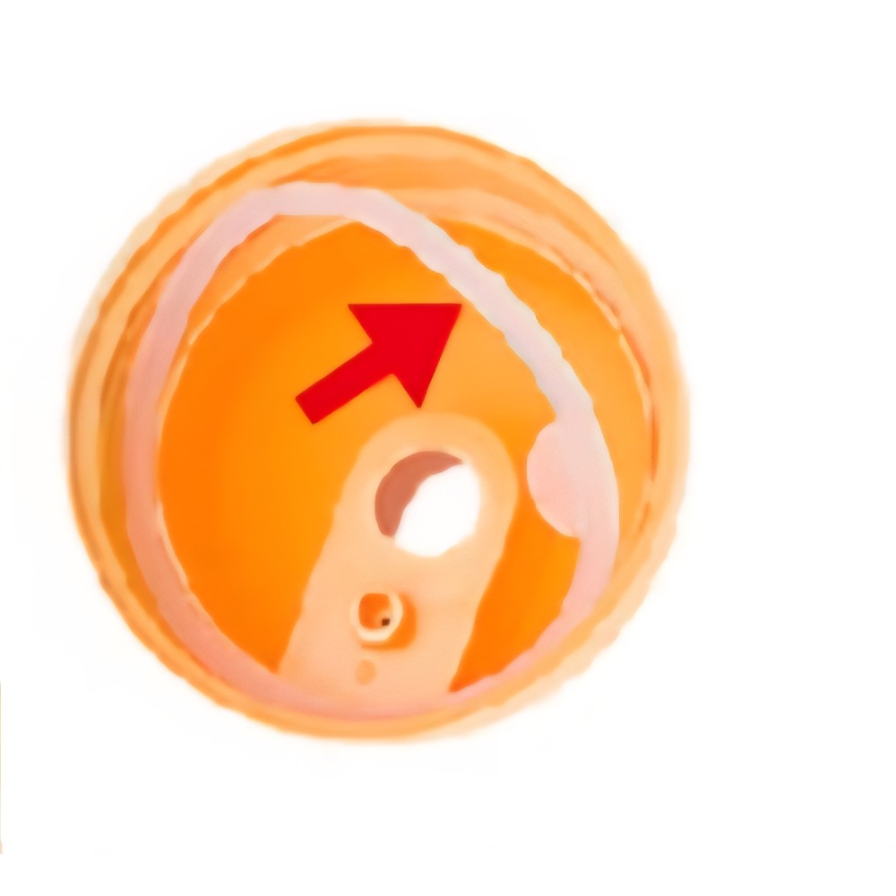 【evorie】替換矽膠墊圈密封圈-規格圖1