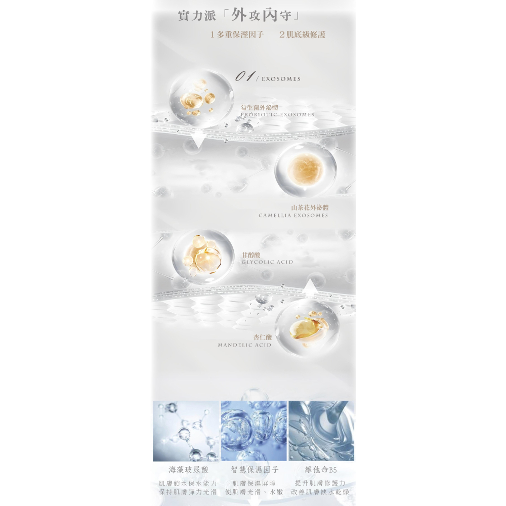 💟公司貨💟夏蒂紗 精萃外泌體煥采多元精華 30ml-細節圖3