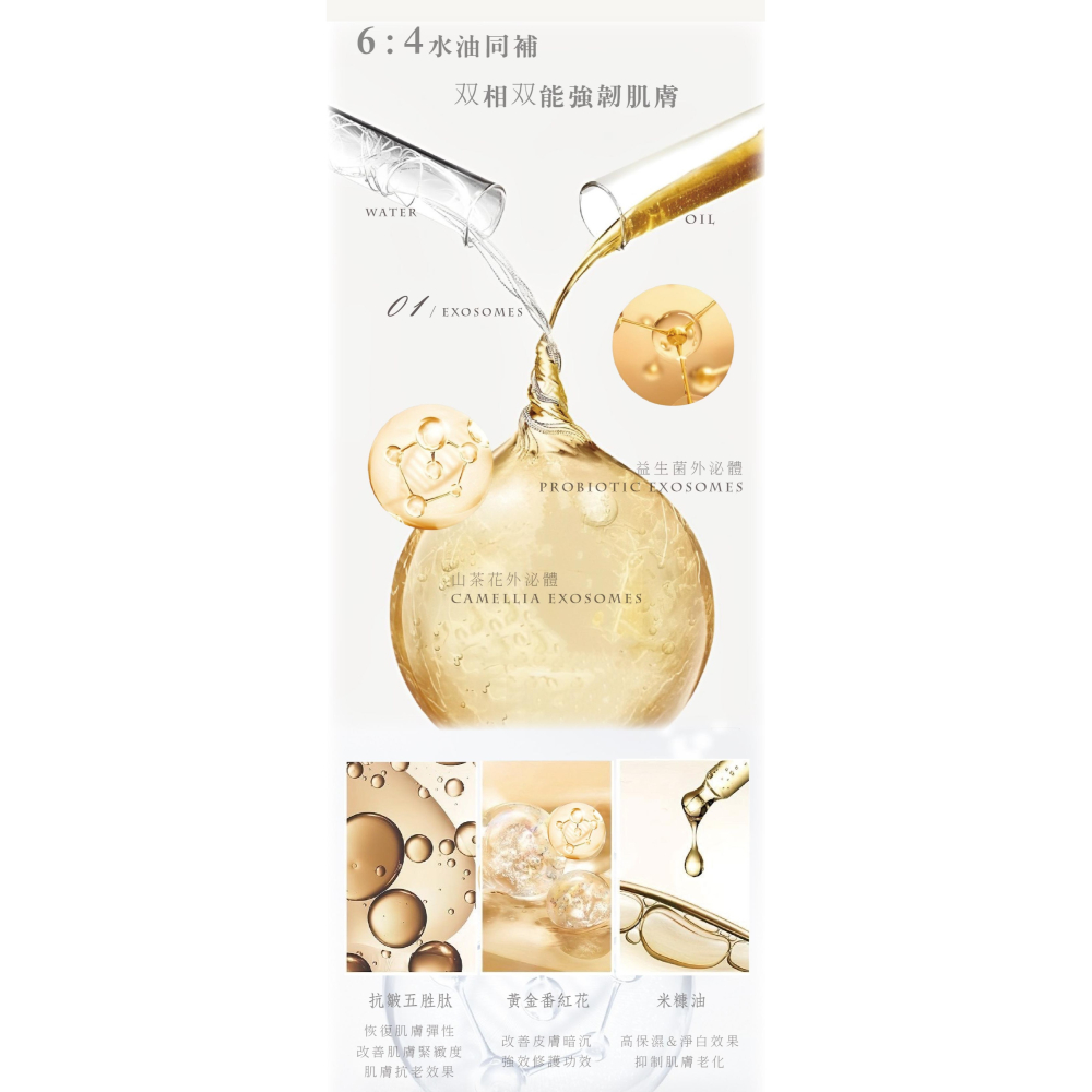 💟公司貨💟夏蒂紗 精萃能量外泌體精華油 30ml-細節圖3