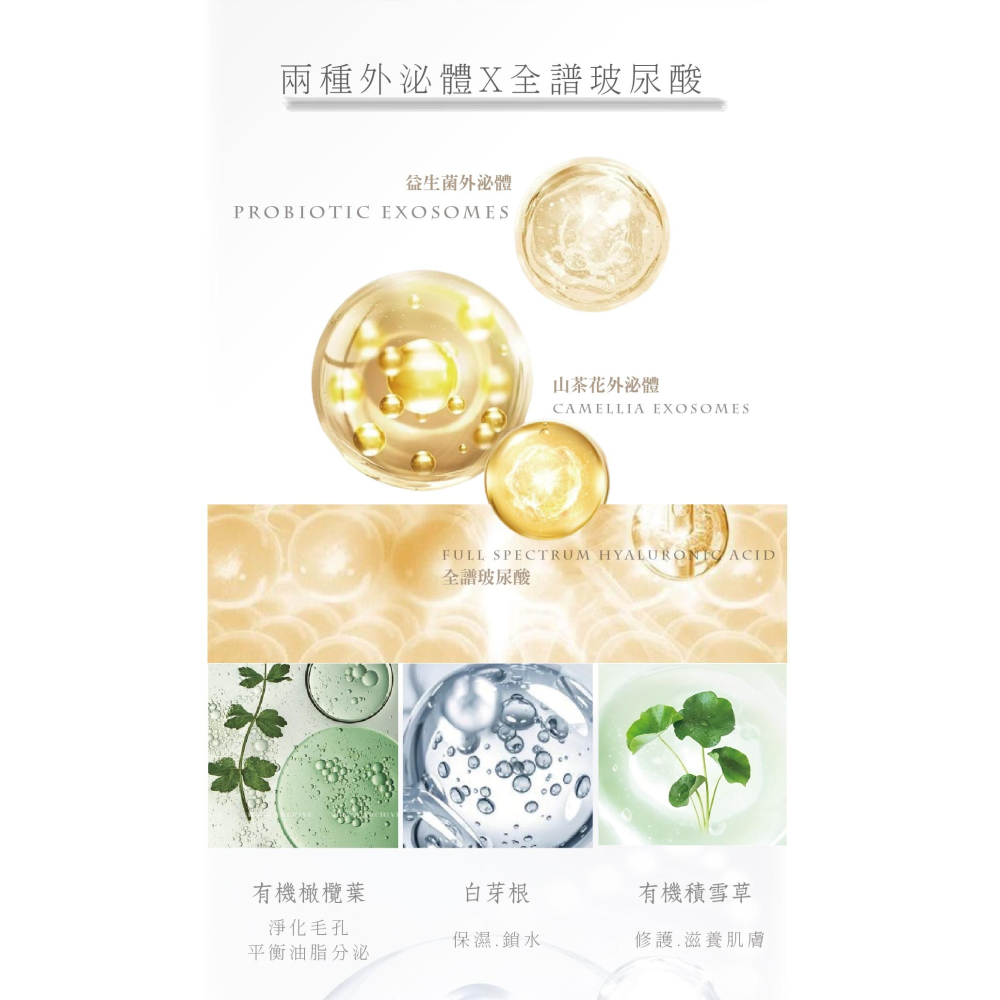 💟公司貨💟夏蒂紗 精萃外泌體洗卸潔顏慕斯 120ml-細節圖3