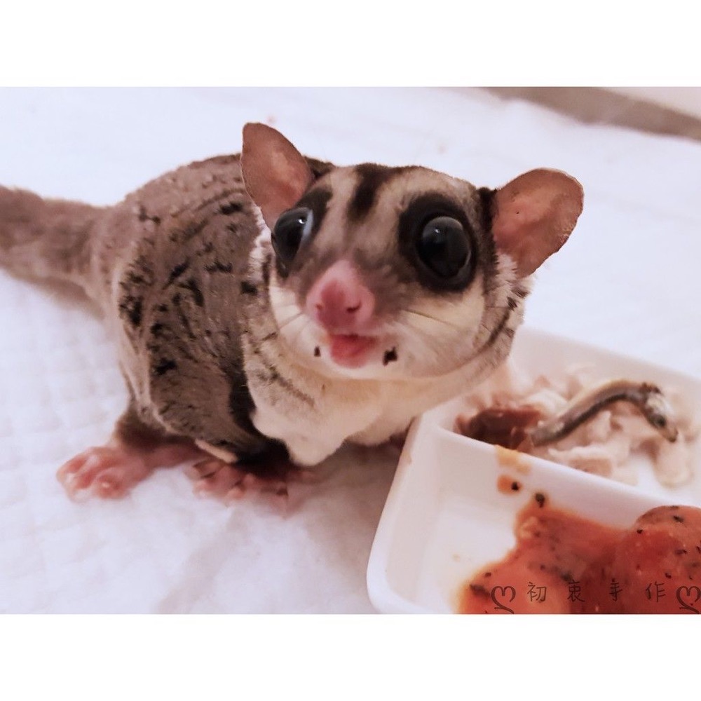 【初衷手作】蔬果泥-細節圖3