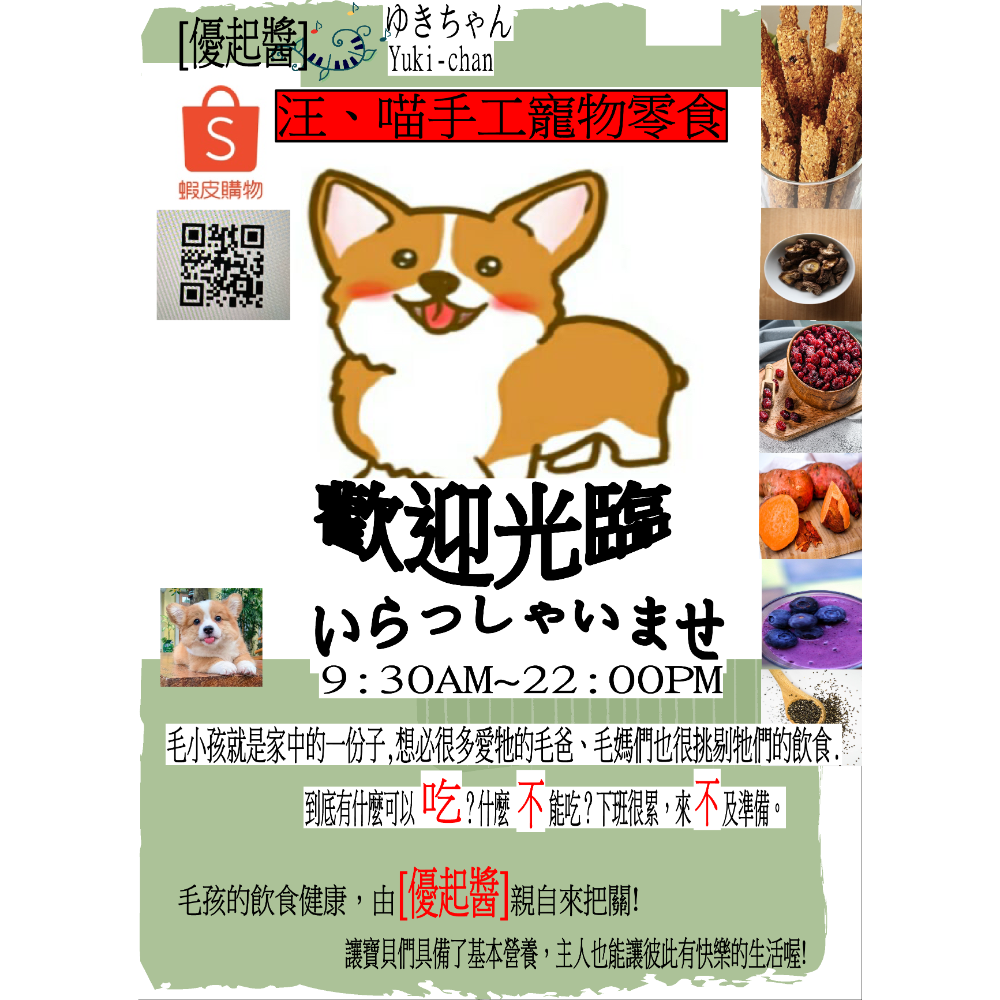 #薄片雞胸肉乾片-100g#寵物副食品#奬賞零食-細節圖4