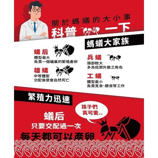 174T除蟻凝膠 防治螞蟻藥30克 附贈10入藥盒連鎖滅蟻 螞蟻藥劑 餌劑 除蟲消毒-細節圖4