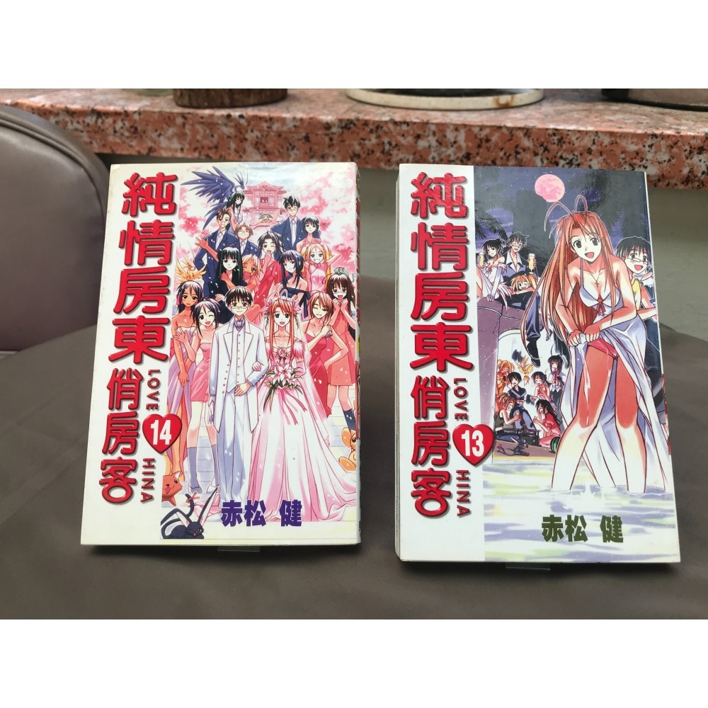 【二手・中古】純情房東俏房客 全套 1~14集+第0集(公式集)-細節圖6