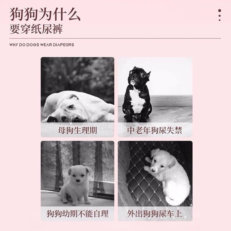 小資福利品-放肆跑不怕掉-寵物專用拉拉褲寵物紙尿褲老年照護幼犬訓練母狗生理期公狗禮貌紙尿褲-細節圖9