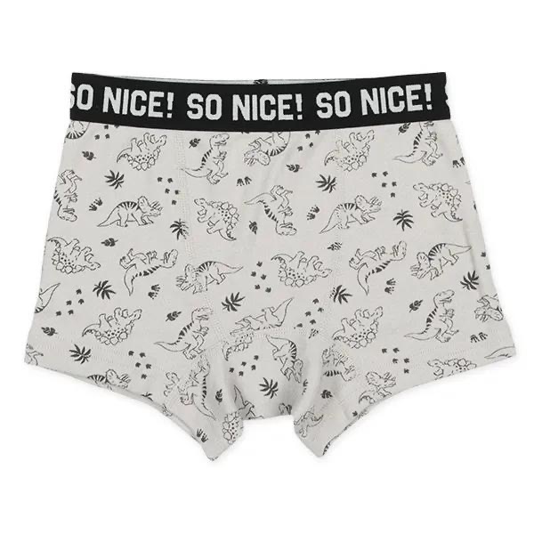 西松屋 男童四角褲四件組 恐龍・電車 (100cm/110cm/120cm/130cm)-細節圖2