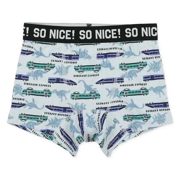 西松屋 男童四角褲四件組 恐龍・電車 (100cm/110cm/120cm/130cm)-細節圖3