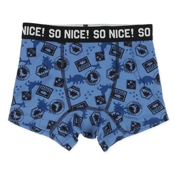 西松屋 男童四角褲四件組 恐龍・電車 (100cm/110cm/120cm/130cm)-細節圖5