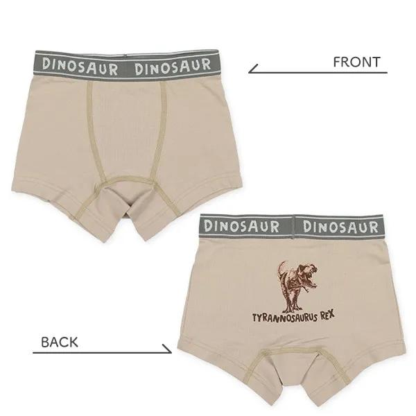 西松屋 男童四角褲四件組 恐龍  (110cm/120cm/130cm/140cm)-細節圖4