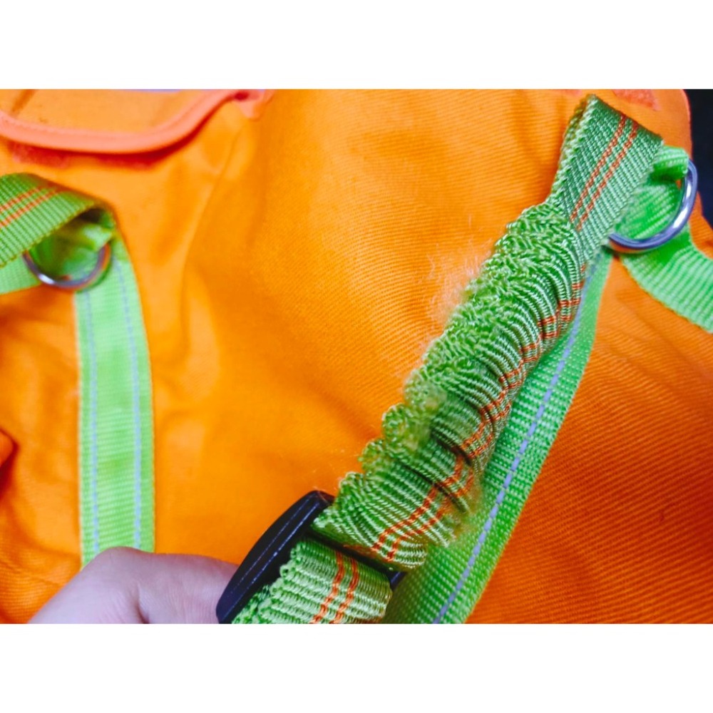 【近似全新】BORNIER 老狗 狗狗輔走型機能衣-M號 [胸圍 61-65CM] 中型犬 復健狗狗 術後-細節圖2