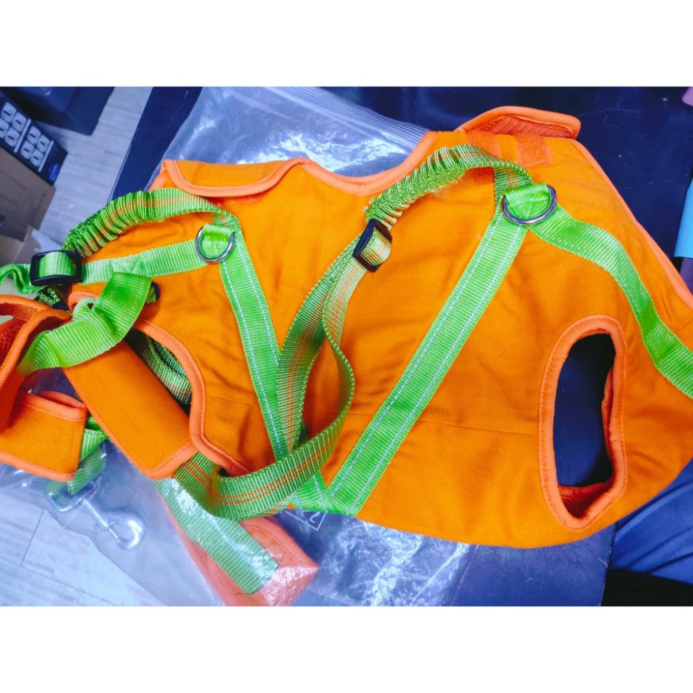 【近似全新】BORNIER 老狗 狗狗輔走型機能衣-M號 [胸圍 61-65CM] 中型犬 復健狗狗 術後-細節圖4