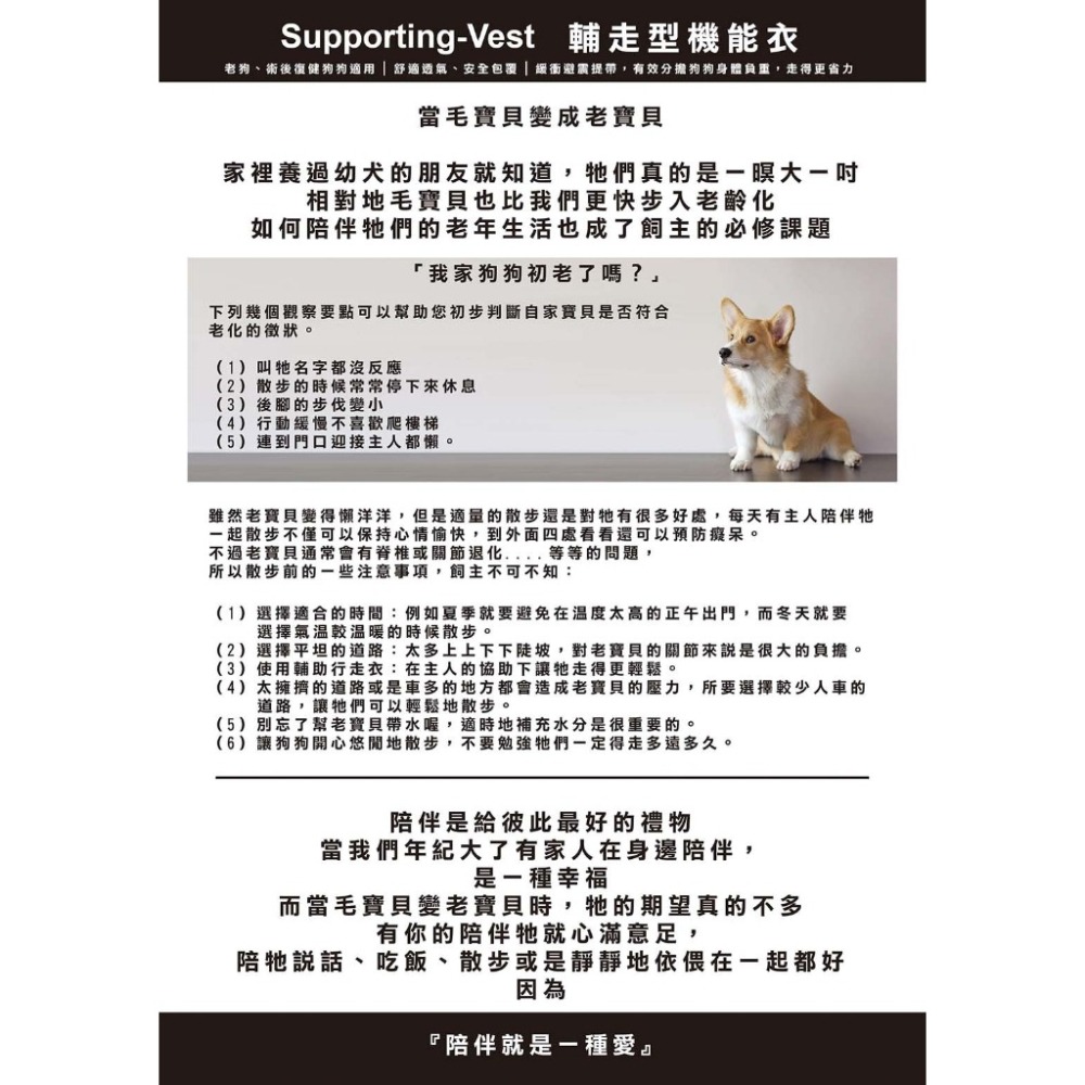 【近似全新】BORNIER 老狗 狗狗輔走型機能衣-M號 [胸圍 61-65CM] 中型犬 復健狗狗 術後-細節圖5