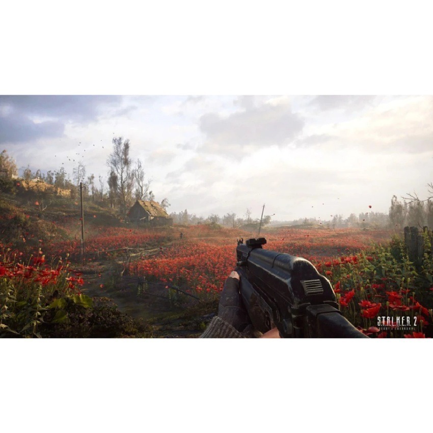 【AS電玩】 PS5 浩劫殺陣 2：車諾比之心 中文版-細節圖3