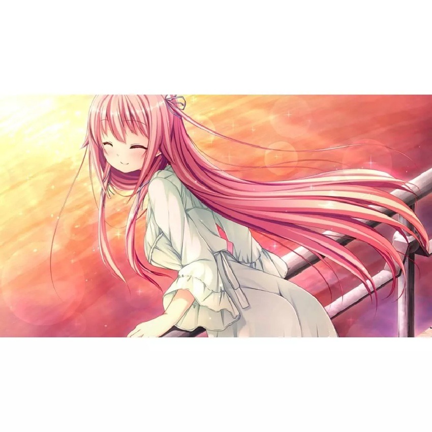 【AS電玩】 NS Switch Harvest OverRay + 女友總是伴身旁 日文版-細節圖3