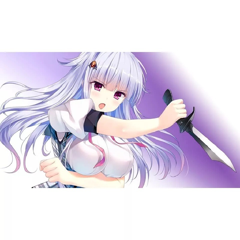 【AS電玩】 NS Switch 白銀之魂! シロガネ×スピリッツ！日文版-細節圖3