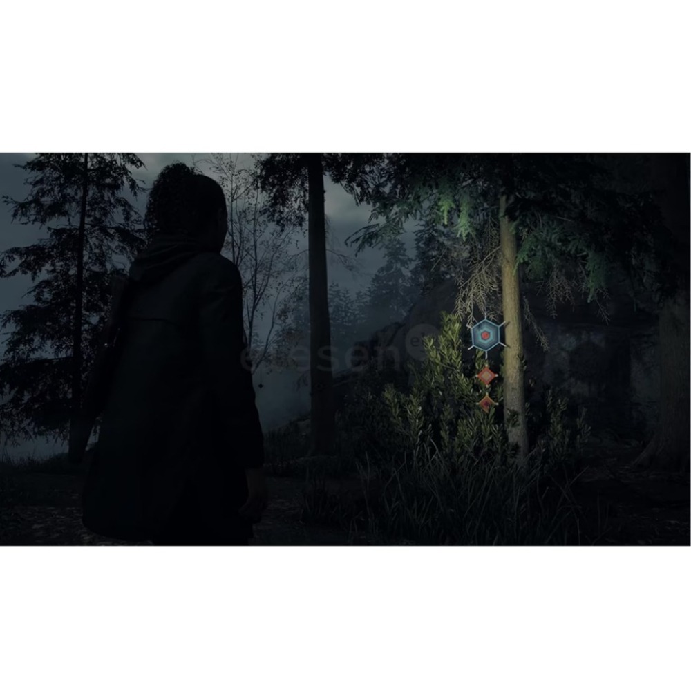 【AS電玩】PS5 心靈殺手2 Alan Wake 2 豪華版-細節圖2