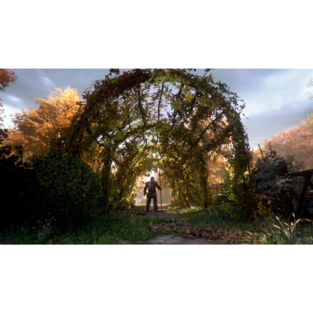 【AS電玩】PS4 瘟疫傳說 無罪 A Plague Tale Innocence 中文版 (國際版)-細節圖3
