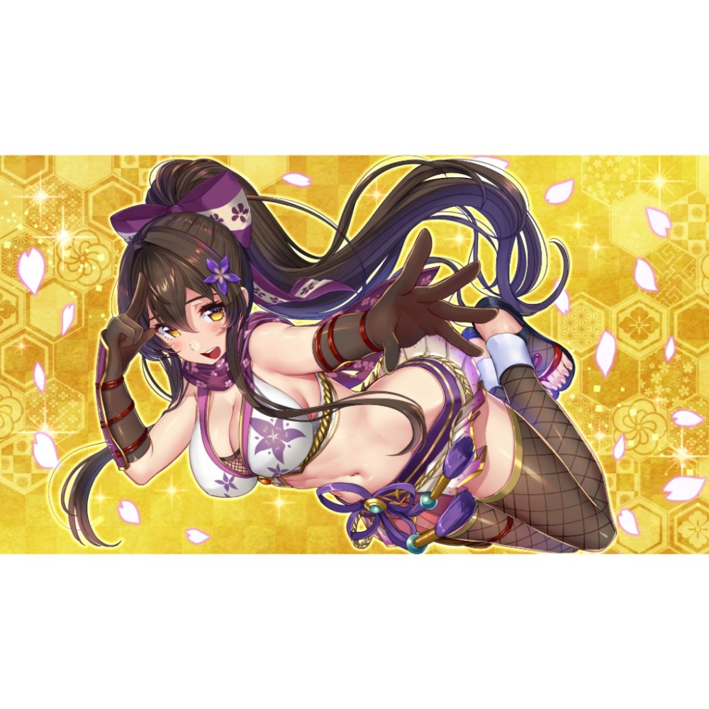 【AS電玩】9/3 NS Switch Days Collection 女忍者戀愛二部曲 中文版-細節圖2