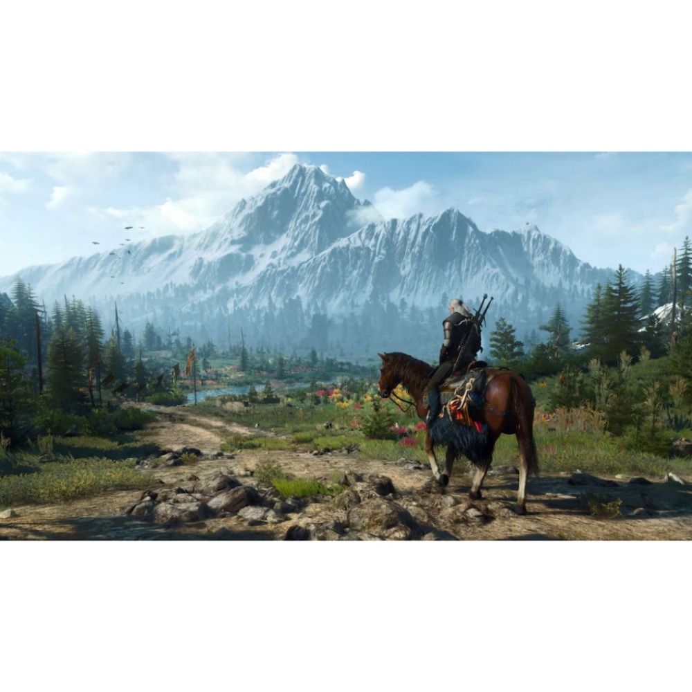【AS電玩】PS4 巫師 3 狂獵 年度最佳遊戲版 (收錄 《石之心》和《血與酒》資料片) 中文版 (國際版)-細節圖2