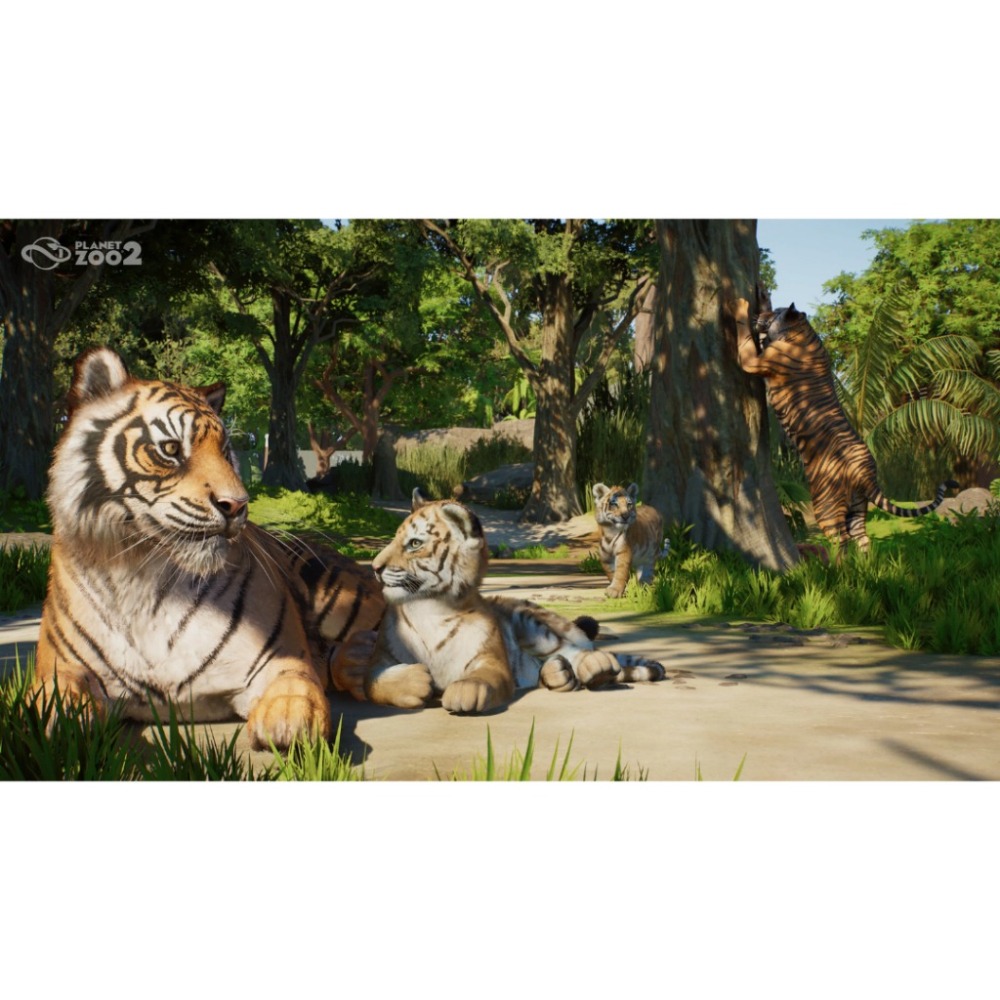 【AS電玩】預購11月 PS5 動物園之星 2 Planet Zoo 2 中文版-細節圖3
