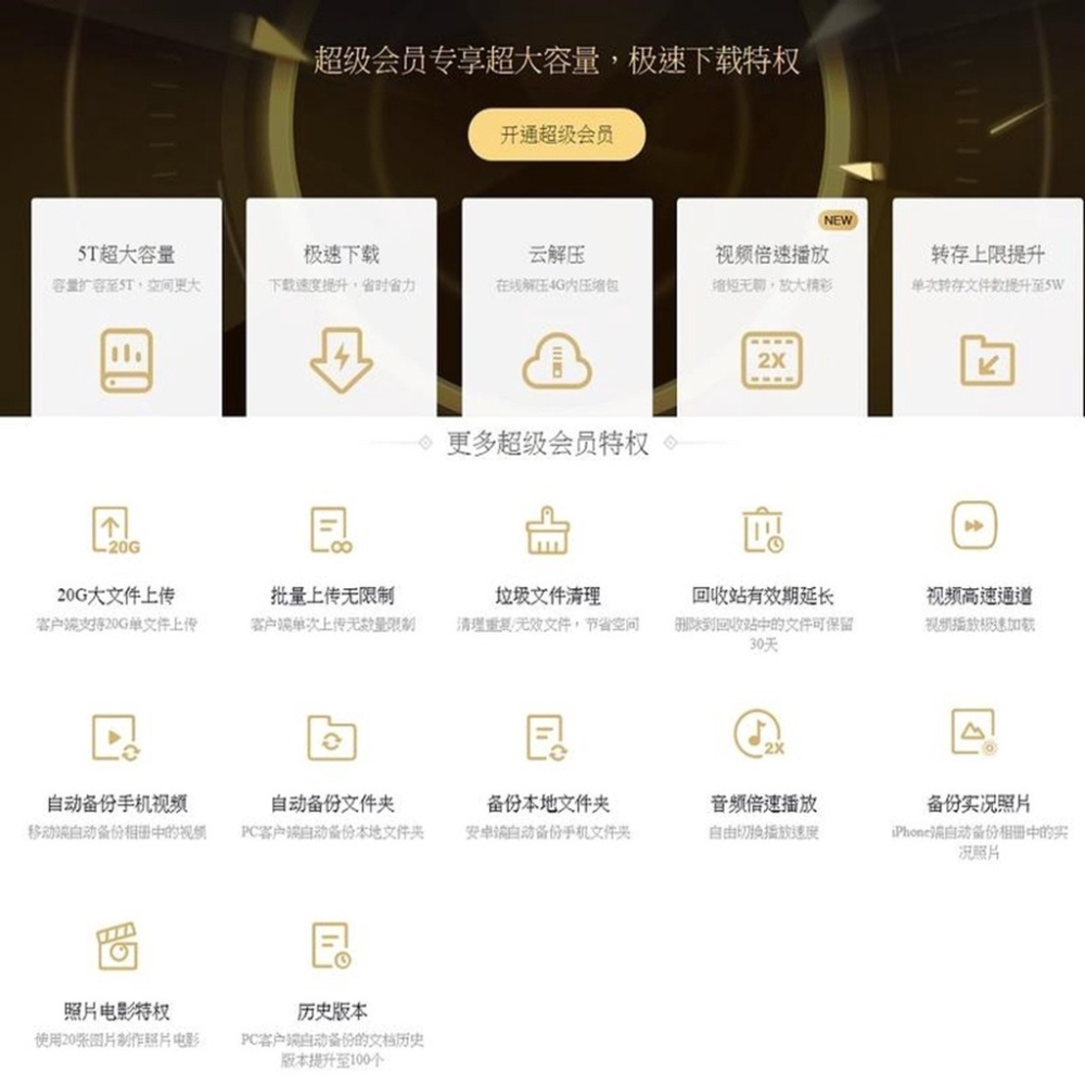 百度網盤 超級會員 可刷卡 加速 贈送5TB空間 VIP 1-12月 提升速度100倍 PC電腦 PS-細節圖2