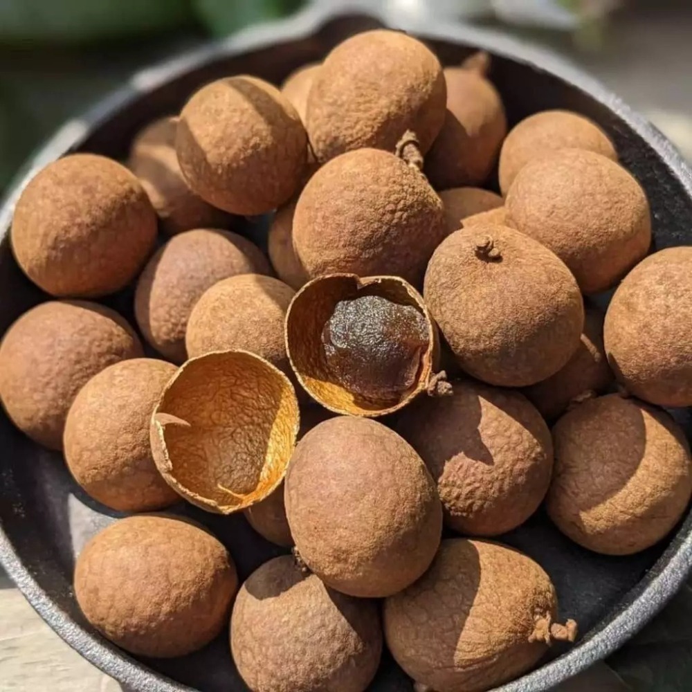 柴燒帶殼龍眼乾-500g/包-細節圖6