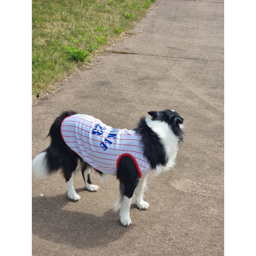 （正韓）籃球透氣寵物衣服 保暖狗衣服 貓咪衣服  小型犬 中型犬  貴賓 吉娃娃 狐狸犬 馬爾濟斯-細節圖5