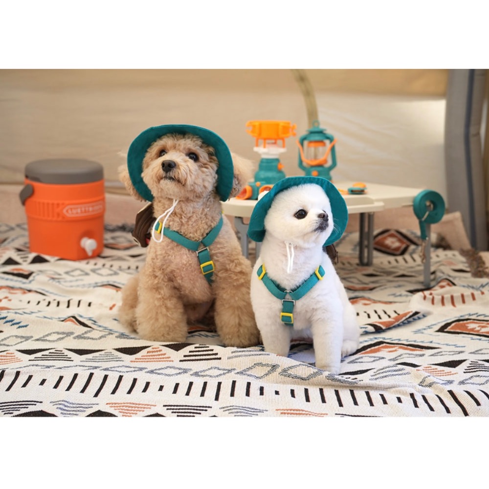 正韓 探險史奴比牽引背包套組 牽引繩 牽繩 項圈-細節圖2