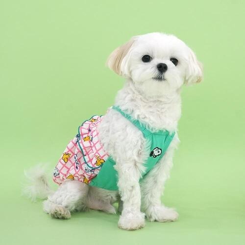 【星際萌寵】正韓寵物服飾 | 史努比夏日格子花苞衣 寵物用品(預購)-細節圖5