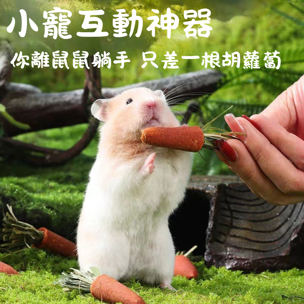 [星際萌寵] 倉鼠小寵胡蘿蔔磨牙棒 小寵零食小寵用品-預購-細節圖2