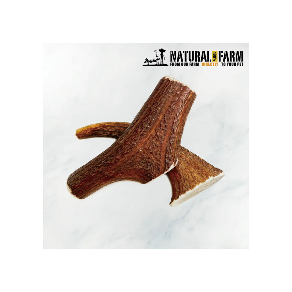 【星際萌寵】自然牧場 | 鹿角棒 犬用品-細節圖2