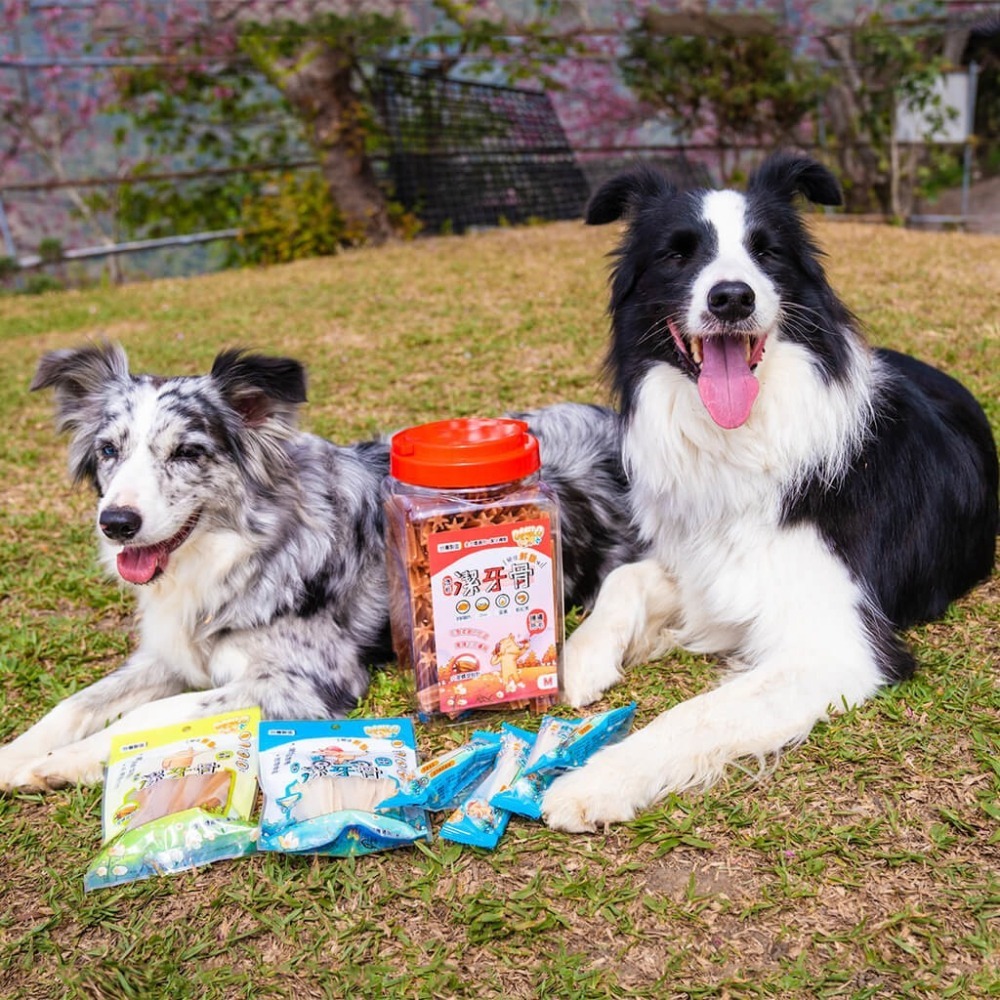 【星際萌寵】丹露 | 桶裝潔牙骨 犬零食-細節圖3