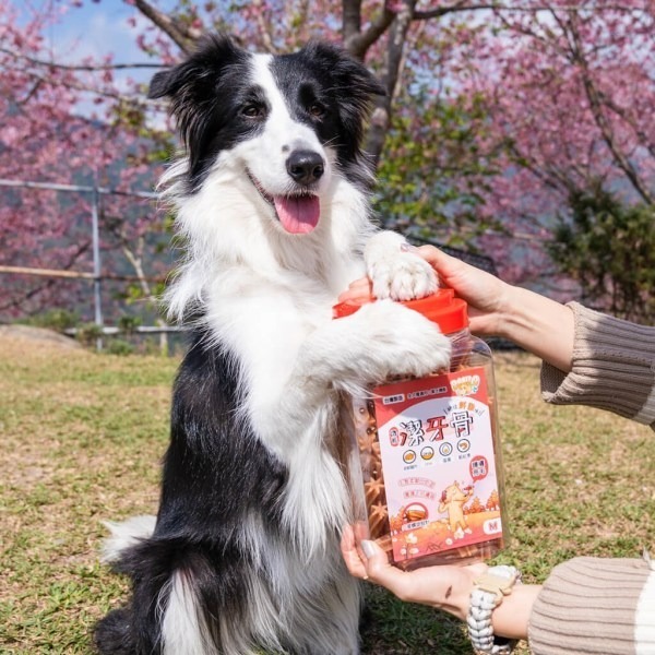 【星際萌寵】丹露 | 桶裝潔牙骨 犬零食-細節圖4