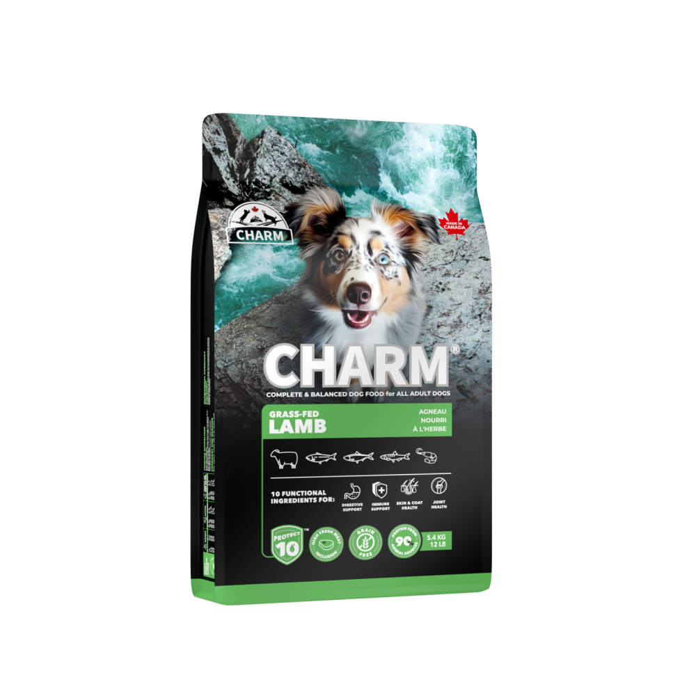 【星際萌寵】野性魅力 | 超能精華犬系列2kg-細節圖2