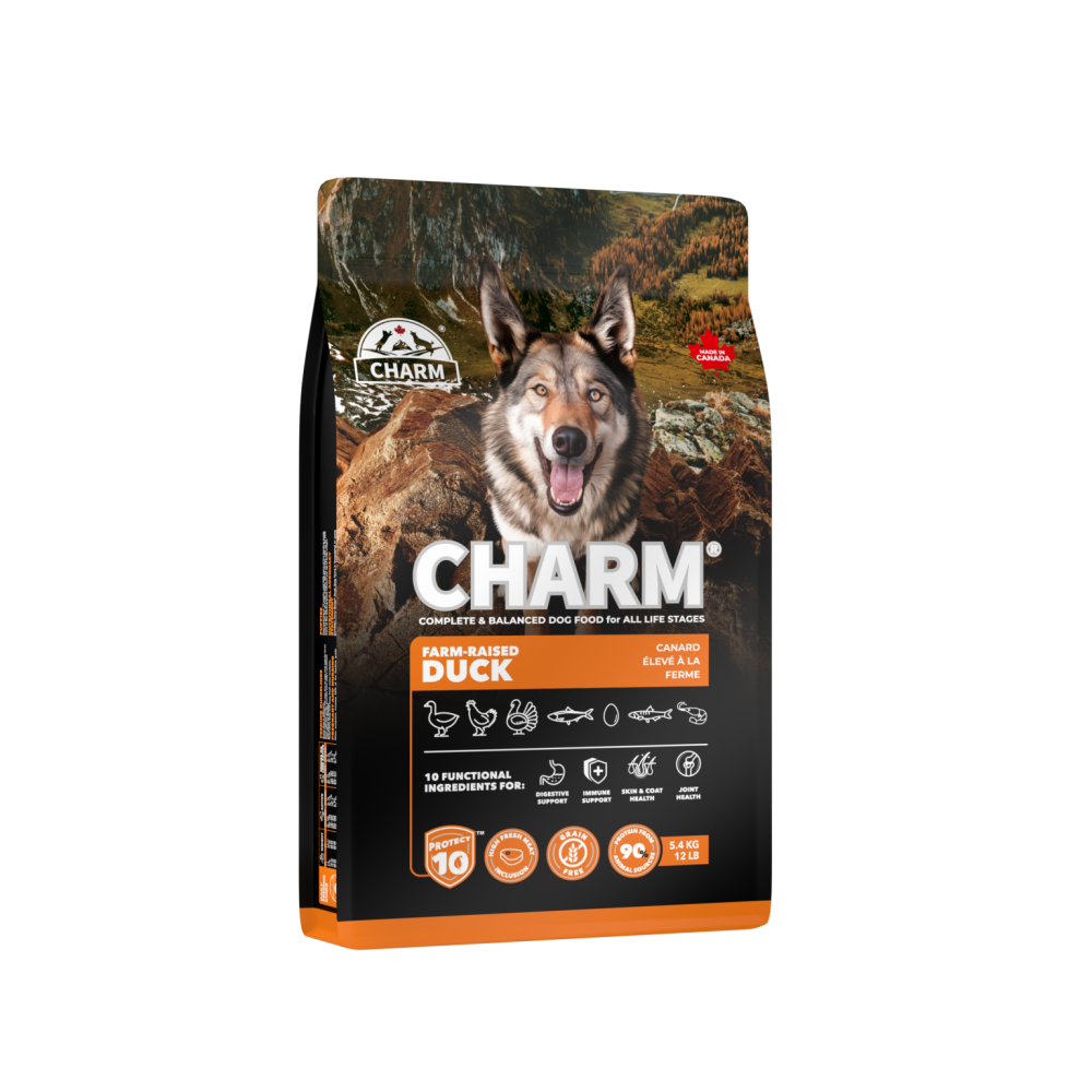 【星際萌寵】野性魅力 | 超能精華犬系列2kg-細節圖3