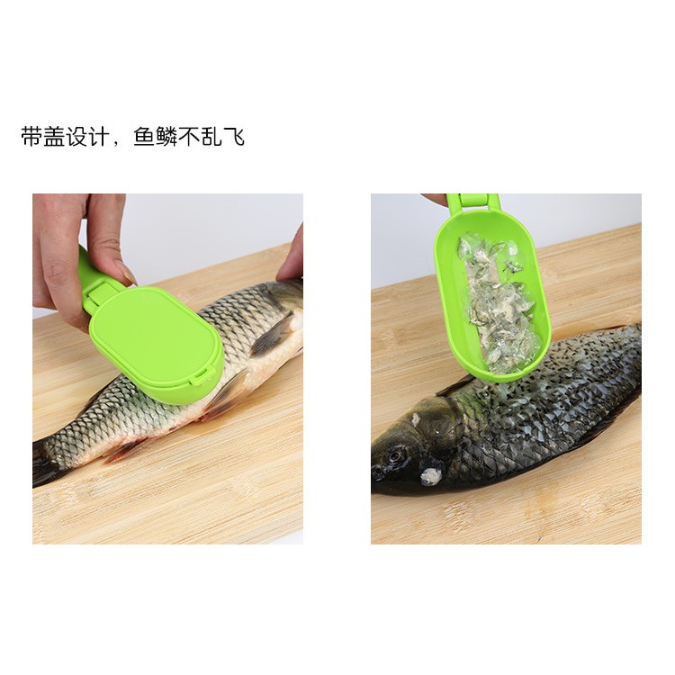 現貨 廚房帶蓋魚鱗刨 刮魚鱗器 去魚鱗器 炫彩廚房小工具A2301-細節圖4