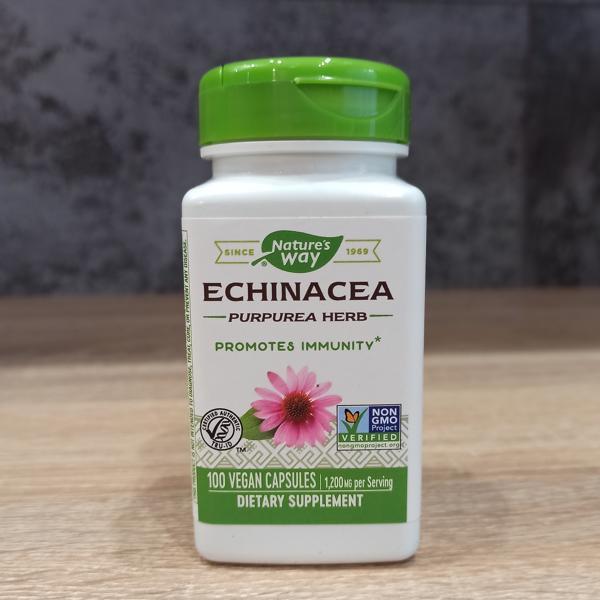 🌺大罐180粒 2瓶免運🌿自然之道紫錐花素食膠囊 1200毫克 草本膠囊 Echinacea 紫錐菊膠囊-細節圖2