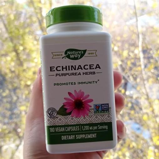 🌺大罐180粒 2瓶免運🌿自然之道紫錐花素食膠囊 1200毫克 草本膠囊 Echinacea 紫錐菊膠囊-細節圖3