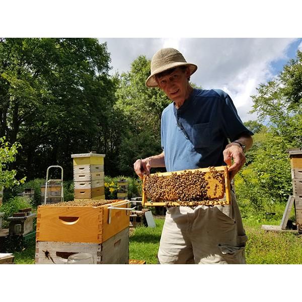 🍯德國Dreyer 黑森林蜂蜜 500g 野蜂蜜，刺槐蜂蜜、槐花蜂蜜 椴樹蜂蜜，向日葵蜂蜜，Forest Honey-細節圖8