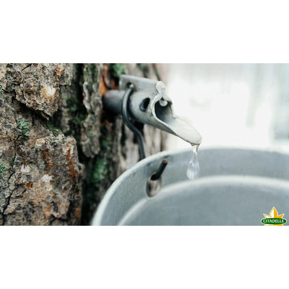 🍁加拿大楓糖漿250g 🌲楓葉楓樹糖漿 Citadelle Maple Syrup 史特爾100%純楓糖 楓漿 煎餅糖漿-細節圖5