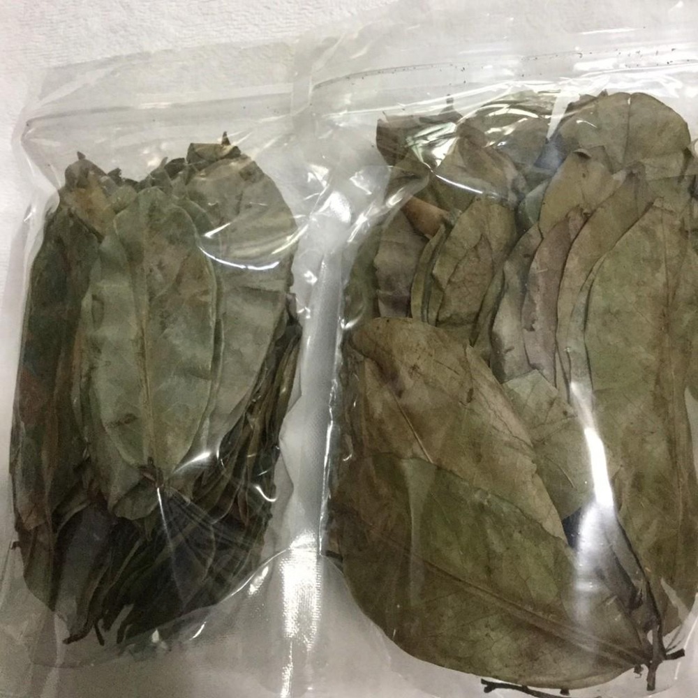 金湯匙牌 刺果番荔枝茶包 刺番荔枝葉粉 红毛榴蓮 養生茶 Gaviola Soursop羅李亮果日本釋迦 辣木茶 山竹茶-細節圖6