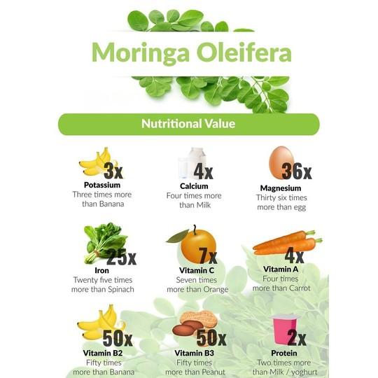 🌿《拉法葉牌》奇蹟之樹印度辣木茶，也有辣木籽，辣木粉純天然辣木葉粉Moringa Tea Malungay-細節圖8