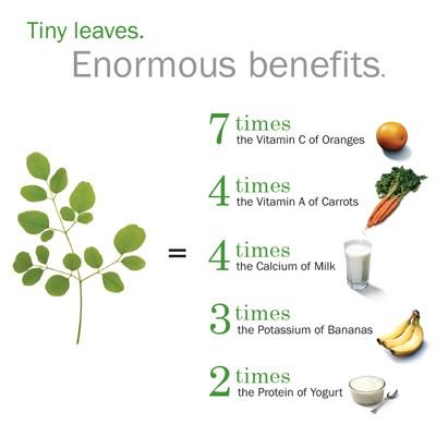 🌳印度辣木《奇蹟牌辣木粉》大包純天然辣木葉粉，也有椰子油,黎麥,奇亞子，也有辣木膠囊 買三包多件優惠 可以烘焙 料理-細節圖6