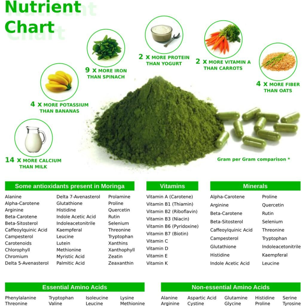 🌲辣木：奇蹟之樹 印度辣木粉 純天然辣木葉粉 辣木茶Moringa 台北！另有椰子油 鼠尾草籽 辣木籽 辣木膠囊-細節圖5