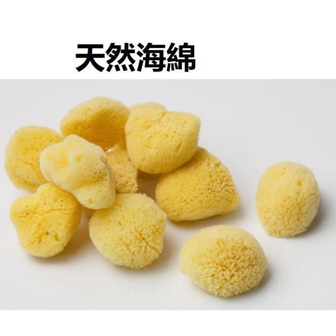 現貨【三色貓】歐洲希臘地中海天然海綿5粒組(內有1特大1大3小)去角質/粉刺，沐浴海綿/洗臉海綿， 成人嬰兒洗澡-細節圖9