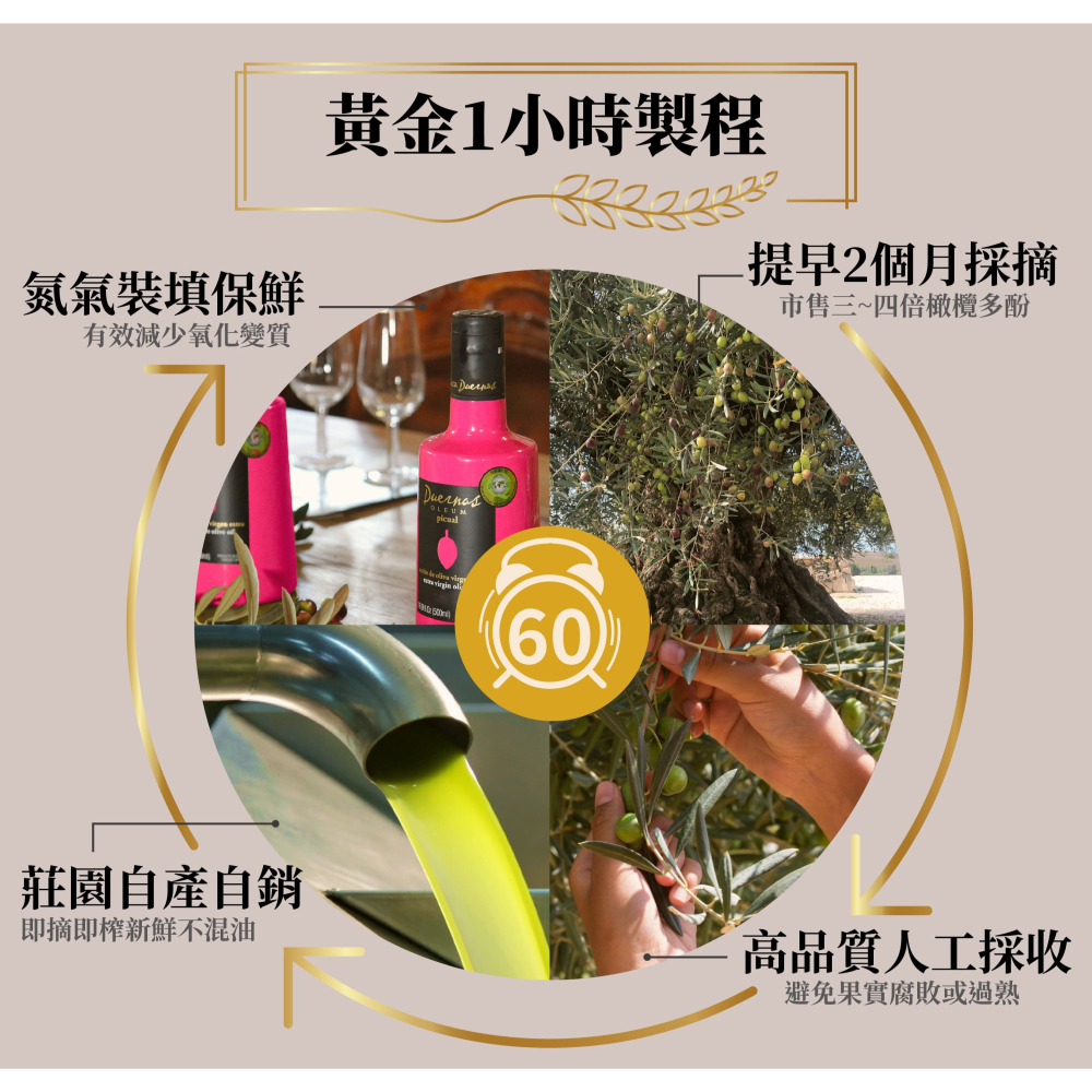 朵娜莊園 特級初榨冷壓橄欖油-細節圖4
