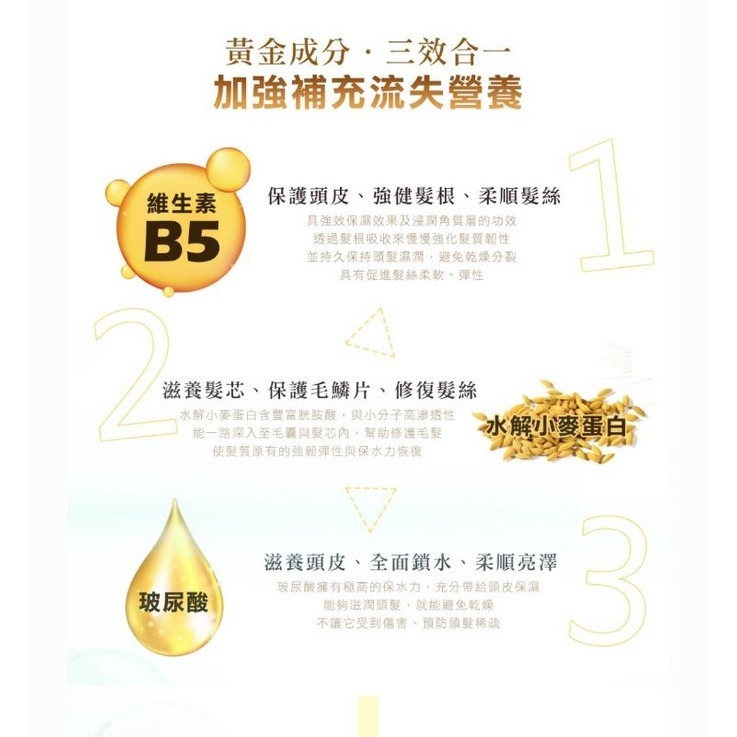 ✨ 熱銷現貨✨KIN頂級二代亮彩洗髮精 900ml-細節圖4