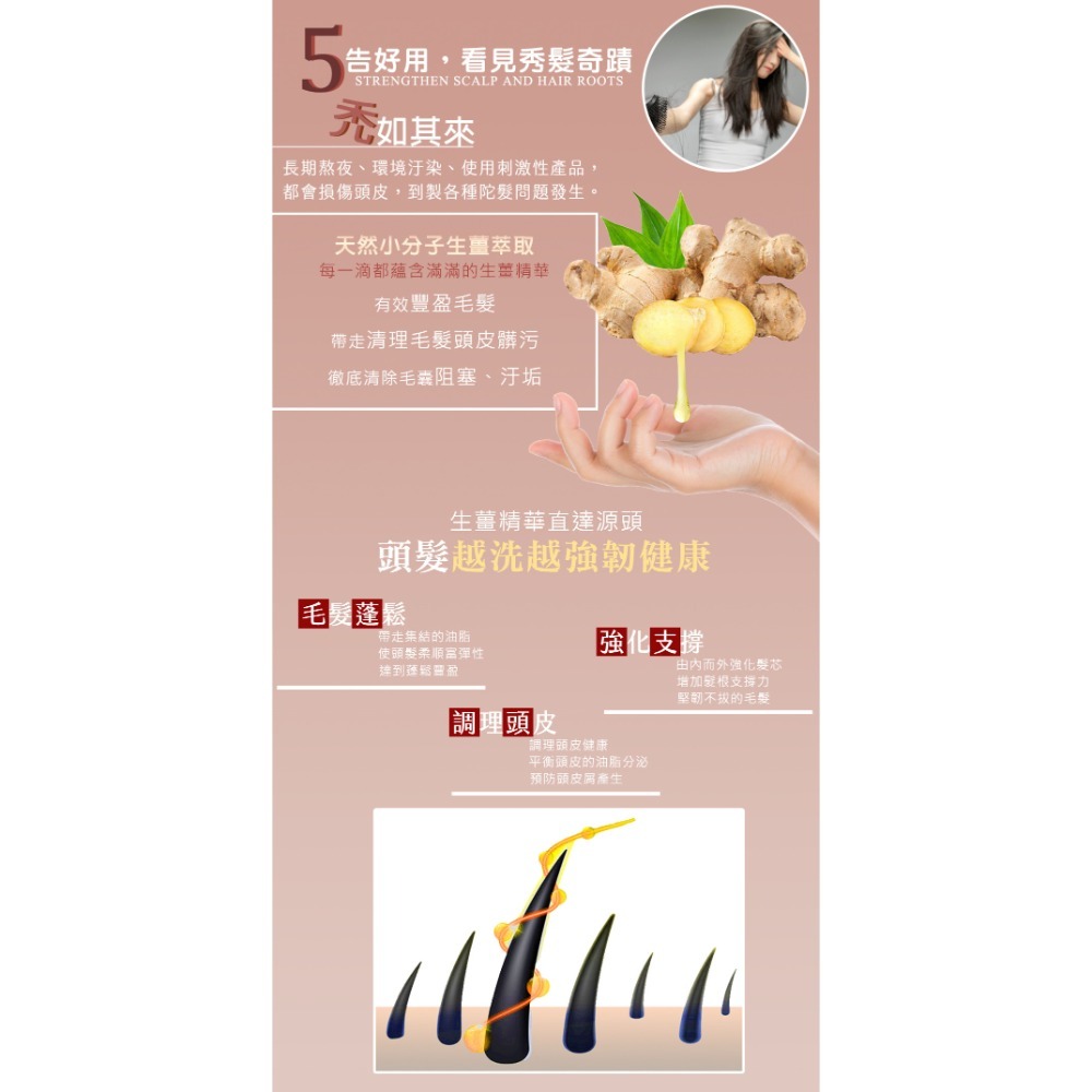 【現貨】經典頂級2代系列900ml-細節圖9