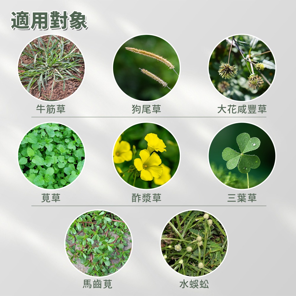 清檜 Hinoki Life 壬酸除草劑 500ml-細節圖6